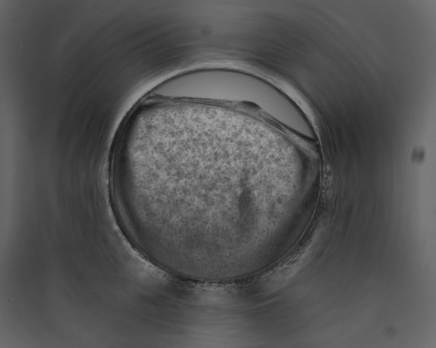 X0000089380951200707131655