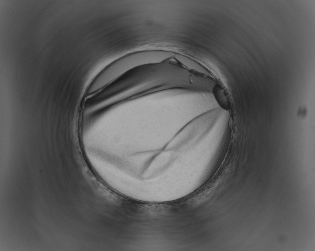 X0000089380952200707131655