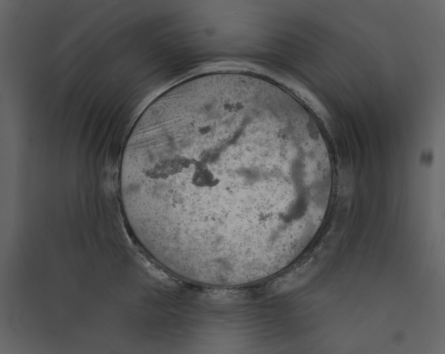 X0000089380953200707131655