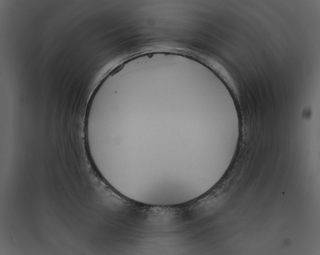 X0000089380954200707131655