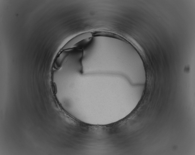 X0000089380956200707131655