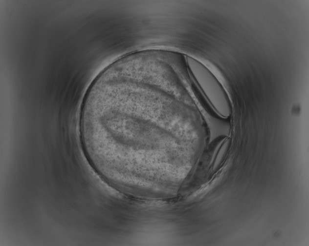 X0000089380957200707131655