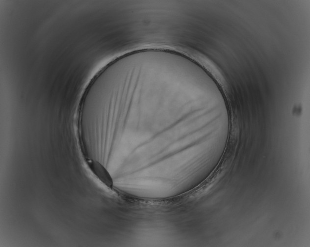 X0000089380958200707131655