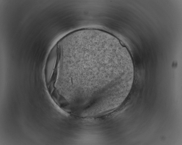 X0000089380959200707131655