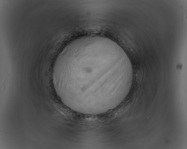 X0000089380961200707131655