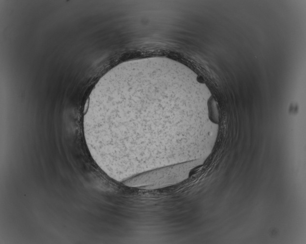 X0000089380964200707131655