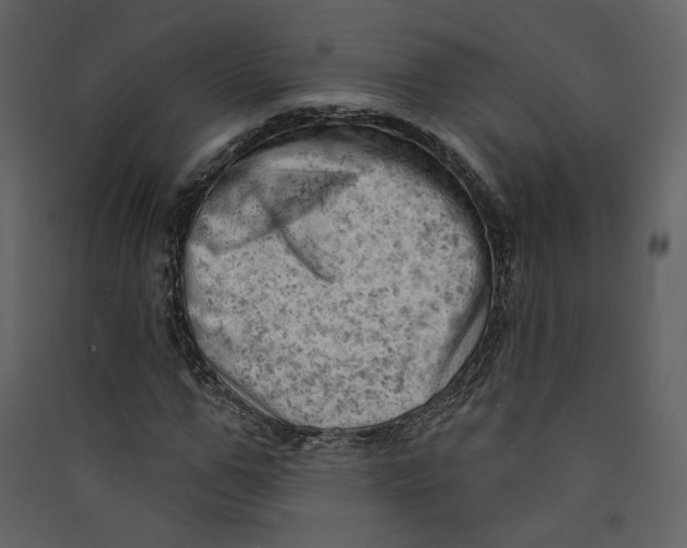 X0000089380967200707131654