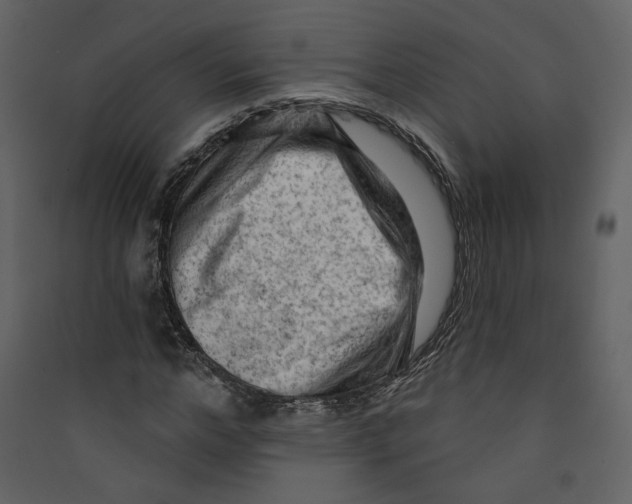 X0000089380968200707131654