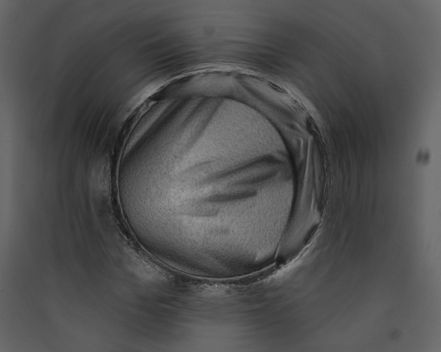 X0000089380969200707131654