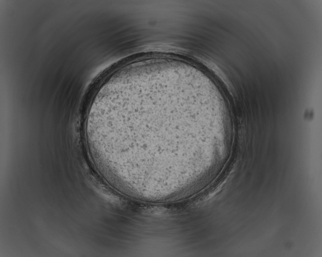 X0000089380971200707131654