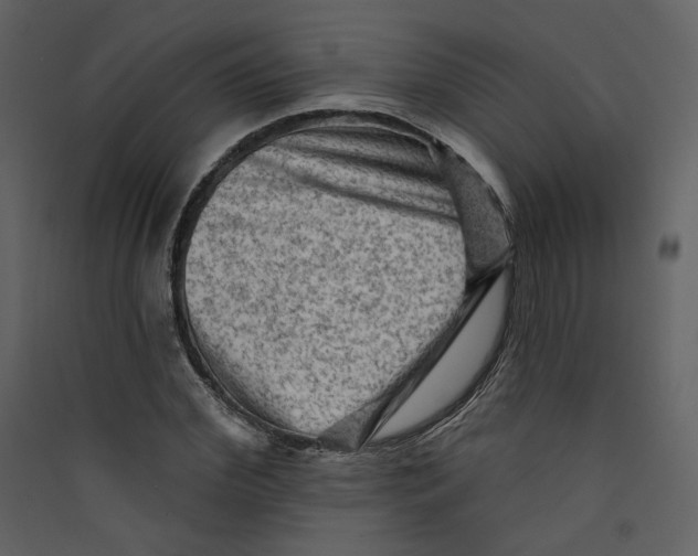 X0000089380972200707131654