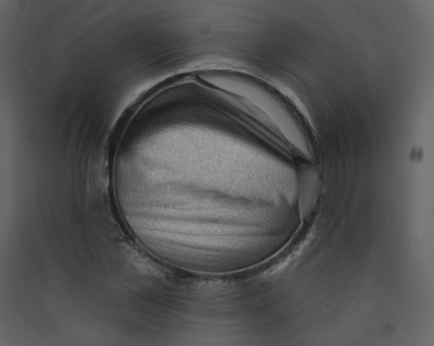 X0000089380973200707131654