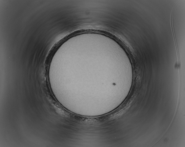 X0000089380974200707131654