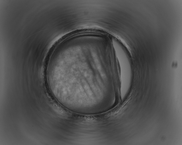 X0000089380975200707131654