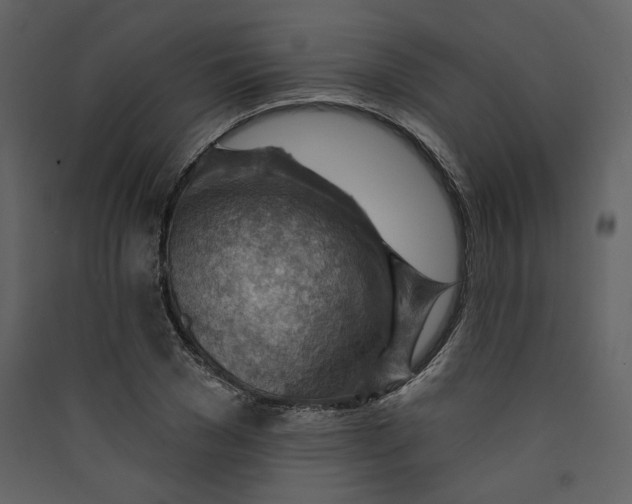 X0000089380977200707131654