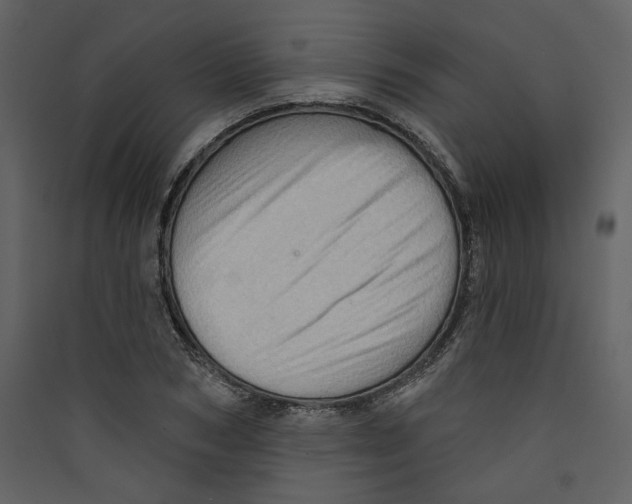 X0000089380978200707131654