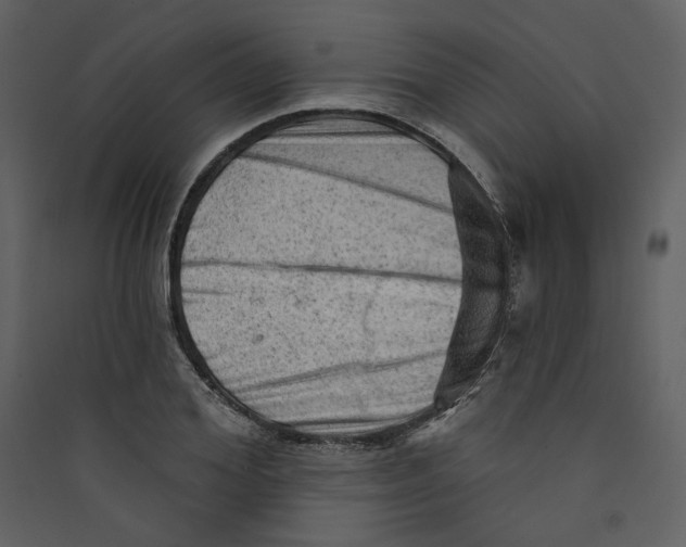 X0000089380980200707131654