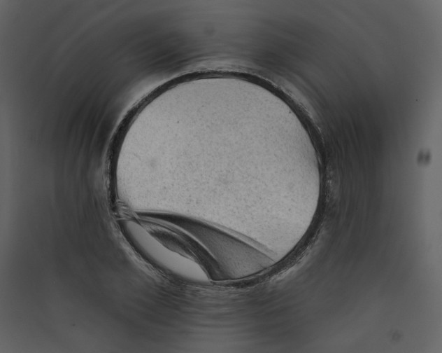 X0000089380981200707131654