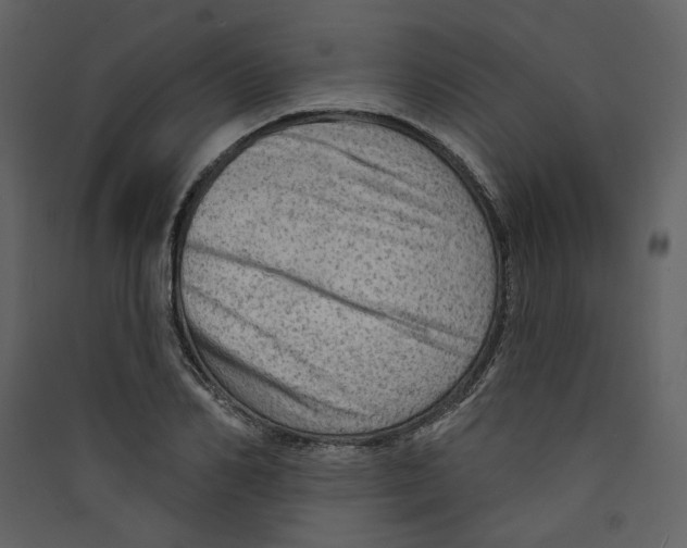 X0000089380982200707131654