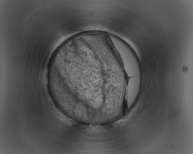 X0000089380983200707131654