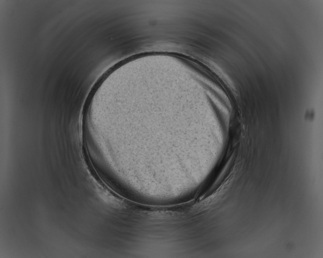 X0000089380988200707131654