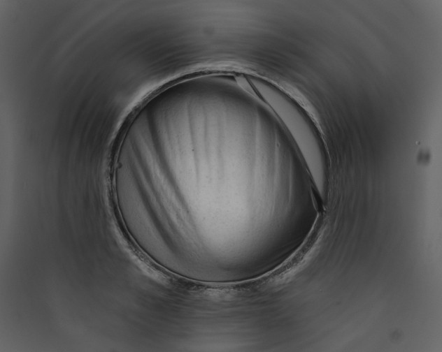 X0000089380989200707131654