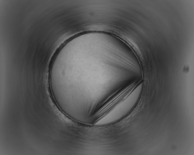 X0000089380992200707131654