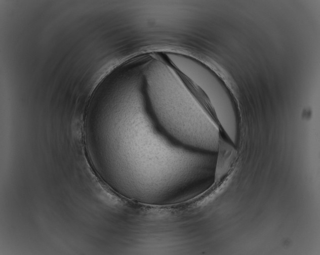 X0000089380993200707131654