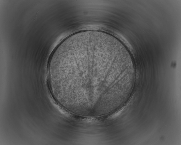 X0000089380994200707131654