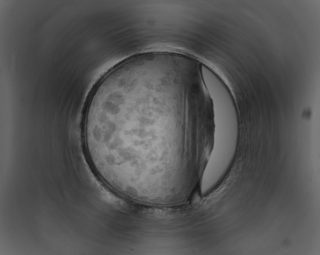 X0000089380995200707131654