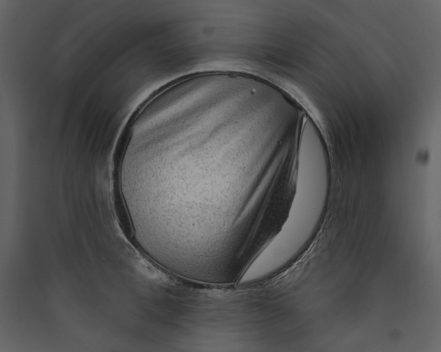 X0000089380996200707131654