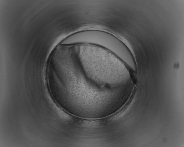 X0000089380997200707131654