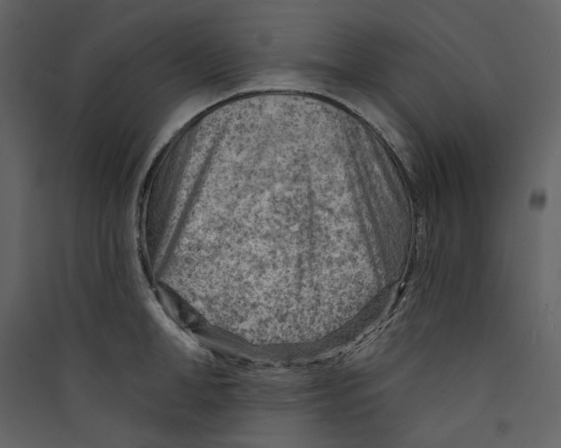 X0000089380998200707131654