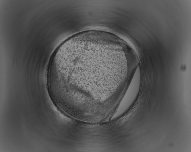 X0000089380999200707131654