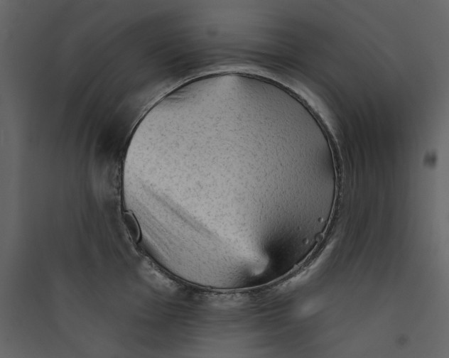 X0000089381001200707131654