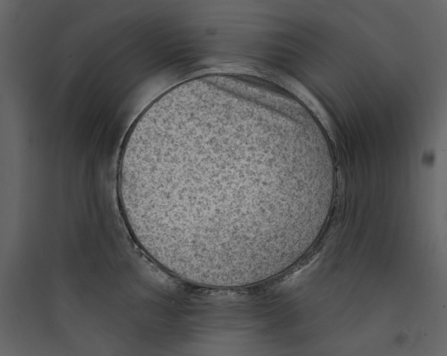 X0000089381002200707131654