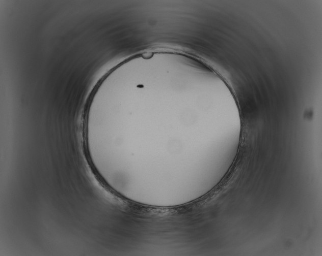 X0000089381003200707131654