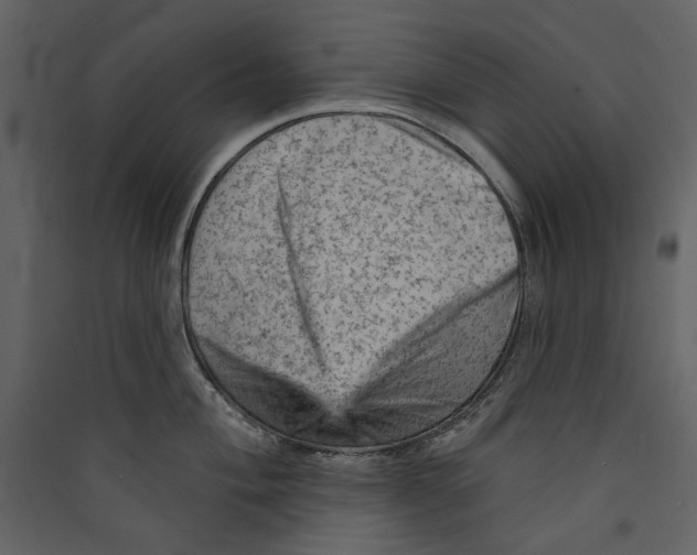 X0000089381004200707131654