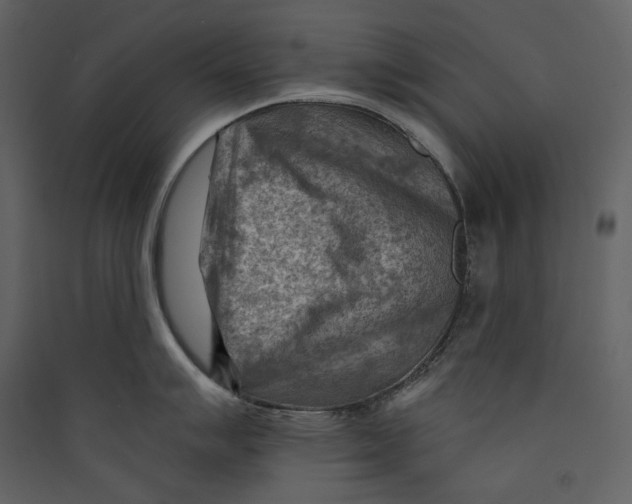 X0000089381007200707131654