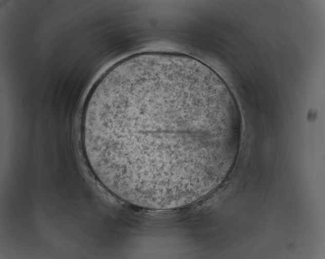 X0000089381008200707131654