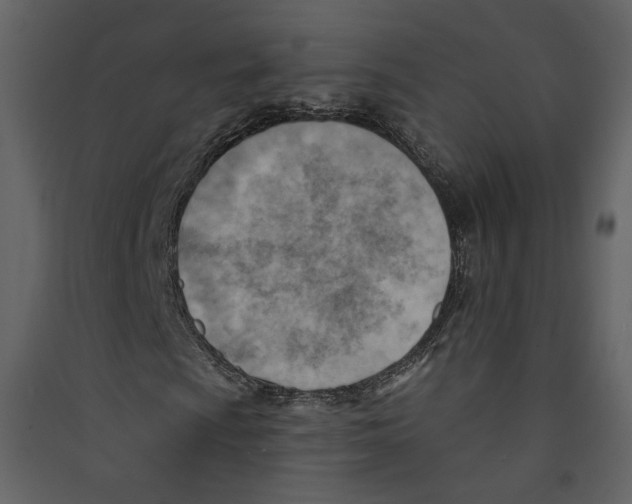 X0000089381009200707131653