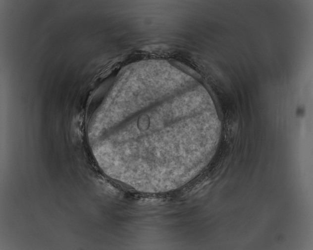 X0000089381010200707131653