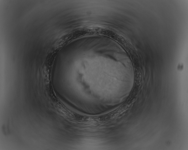 X0000089381013200707131653