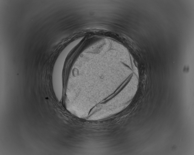 X0000089381014200707131653