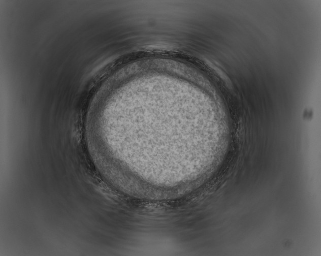 X0000089381015200707131653