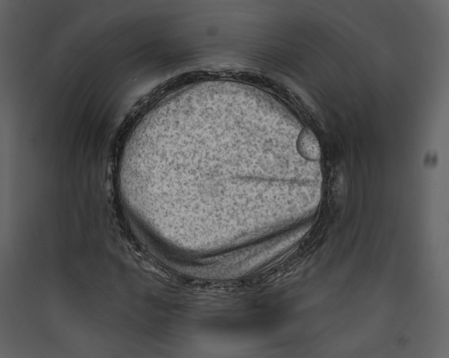 X0000089381016200707131653