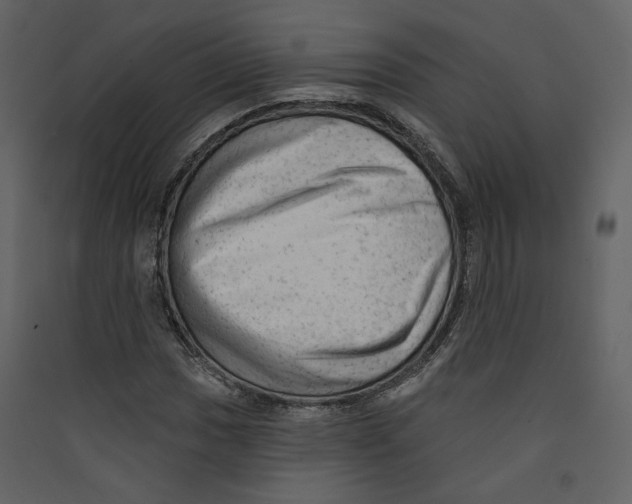 X0000089381017200707131653