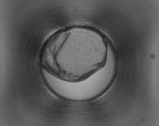 X0000089381018200707131653