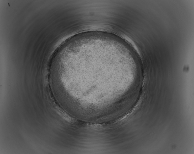 X0000089381019200707131654