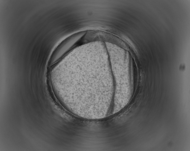 X0000089381020200707131654